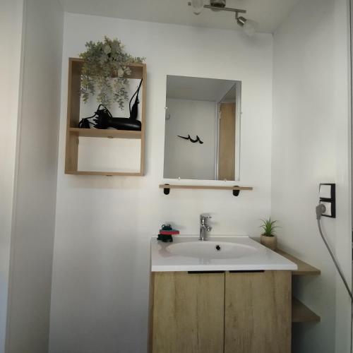 a bathroom with a sink and a mirror at Terracotta Lodge - Un cocon chaleureux pour des vacances inoubliables in Nibelle
