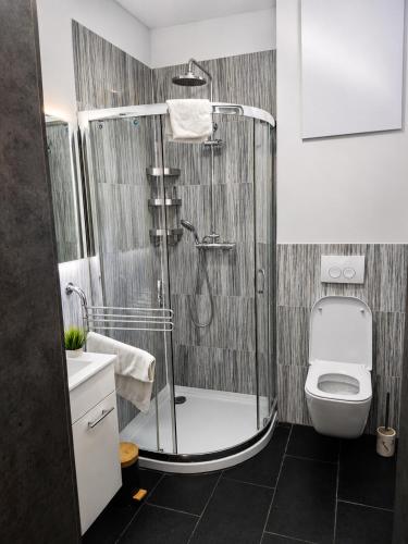 a bathroom with a shower and a toilet at Domki Heaven Kujanki in Kujanki