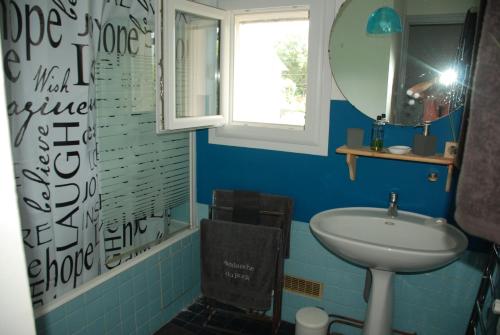 a blue bathroom with a sink and a mirror at Chambres d hôtes Avalanche du rock in Buzy