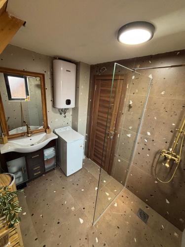 a bathroom with a glass shower and a sink at Chalet Anika in Kolašin