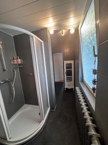 a bathroom with a shower and a walk in shower at Casa Vinea in Freyburg