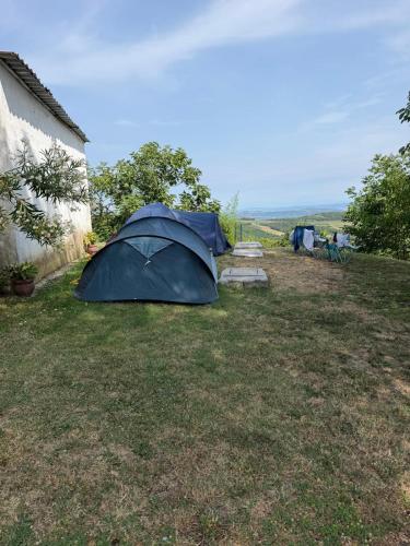 a blue tent sitting in the grass next to a building at Glamping & Camping Green Istria in Marezige