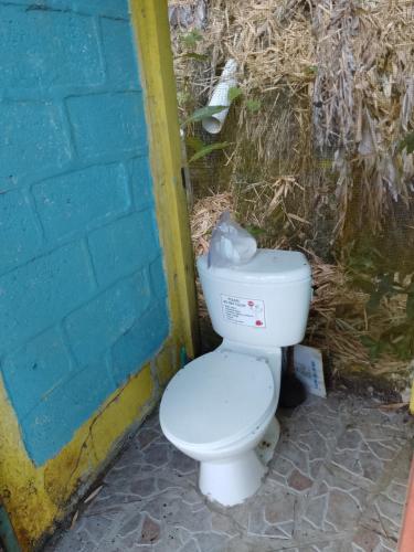 a white toilet sitting next to a blue wall at Pine Ridge 4-Person Tent in Pleasing Prospect