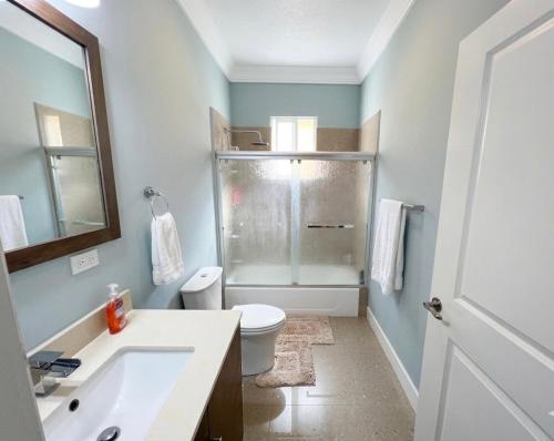 a bathroom with a toilet and a sink and a mirror at Gold Sun Villa in Saint Annʼs Bay