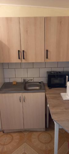 a kitchen with a sink and a counter top at Domki u Ani in Białka