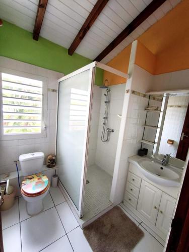 a bathroom with a shower and a toilet and a sink at Villa Rosa Karibella in Saint-François