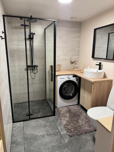 a bathroom with a washing machine and a sink at Taagepera Guest Apartment in Taagepera