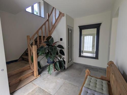 ein Zimmer mit einer Treppe und einer Topfpflanze in der Unterkunft L'Eauberge in La-Roche-en-Ardenne
