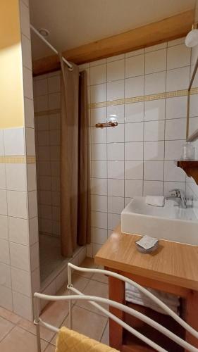a bathroom with a sink and a shower at La Maison de Julia in Blanzac