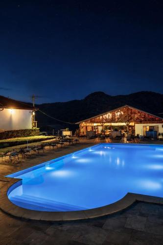 a large swimming pool lit up at night at Clisura Dunarii - Pensiunea Casa Creta in Liborajdea