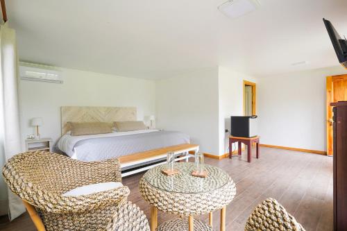 a bedroom with a bed and two chairs and a table at Spa Pirque & Hotel in Pirque
