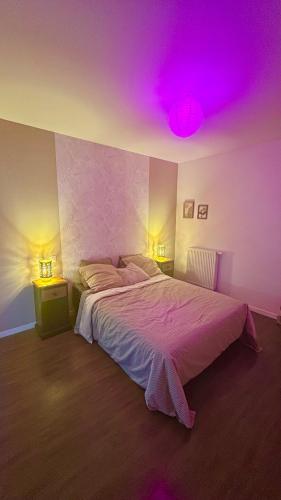 a bedroom with a large bed with a purple ceiling at Rotamagus Officiel in Rouen