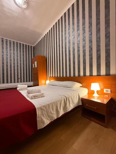 Roma paradise New