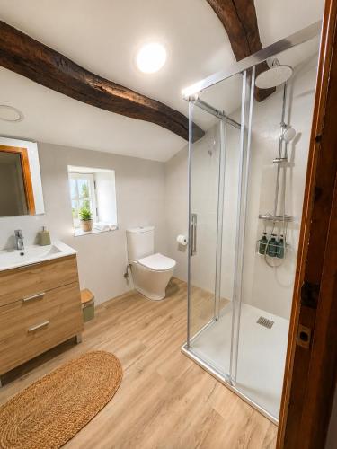 a bathroom with a toilet and a glass shower at Casa Portos in Lestedo