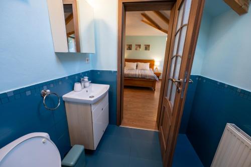 a blue bathroom with a toilet and a sink at SeviCris in Lissa