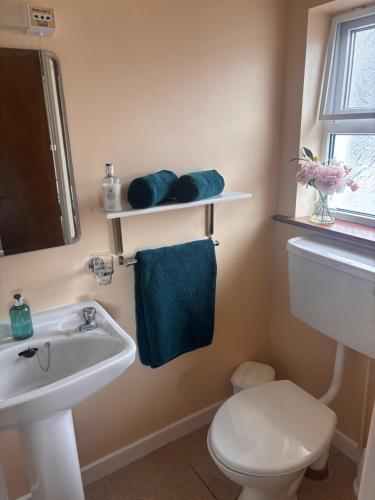 a bathroom with a sink and a toilet and a mirror at Corrib View Villa - Guest Accomodation in Cong