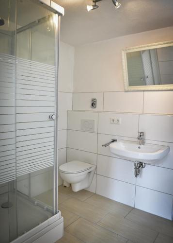 a bathroom with a toilet and a sink and a shower at Zum Schinderhannes in Waibstadt