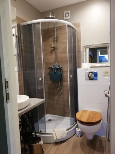a bathroom with a shower with a toilet and a sink at L&B House in Malbork