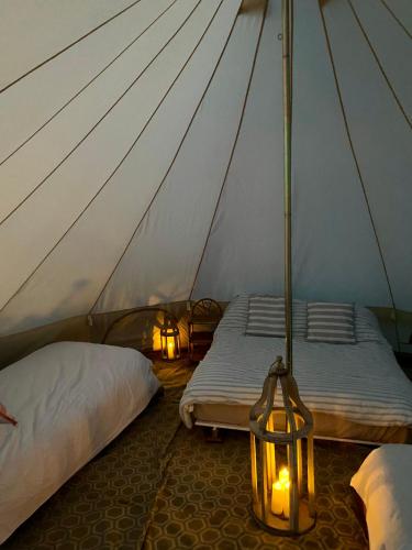 two beds in a canvas tent with a lantern at Boscastle Bell Tents in Boscastle