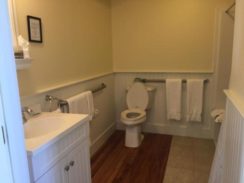 a bathroom with a toilet and a sink with towels at Newagen Seaside Inn in Southport