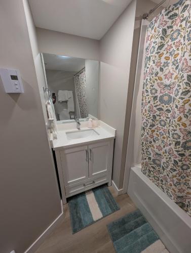 a bathroom with a white sink and a shower at Olas Place in Regina