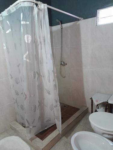 a bathroom with a shower with a toilet and a sink at Villarrica in Valle Hermoso