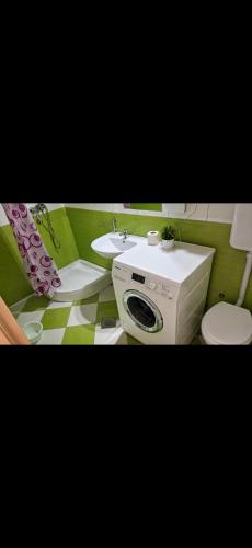 a bathroom with a sink and a washing machine at Vasilis House, Batković in Bijeljina