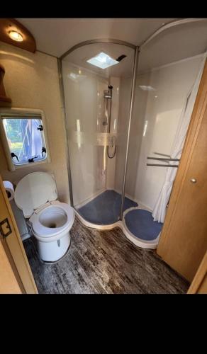 a small bathroom with a toilet and a shower at Кемпер дом in Chişinău