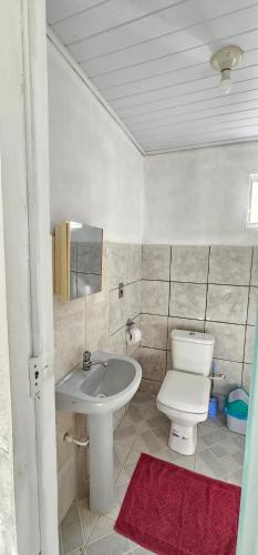a bathroom with a toilet and a sink at recanto provetá ILHA GRANDE in Praia de Provetá 