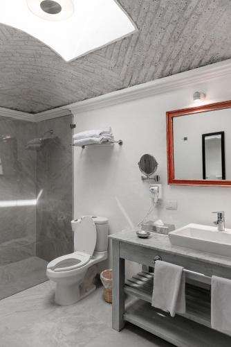 a bathroom with a toilet and a sink and a mirror at Hotel La Morada in San Miguel de Allende