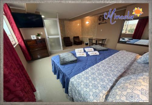 a bedroom with a bed with two pillows on it at Hostal Mineola Huacho in Santa María