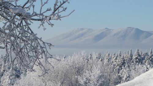 a snow covered forest with a mountain in the background at Maison du Mont-Mégantic spa à l'année in Lac-Mégantic