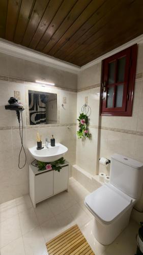 a bathroom with a white toilet and a sink at Archontiko Chios Traditional Mansion in Thymianá