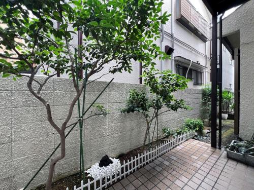 双椿Camellia House