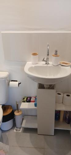 a white bathroom with a sink and a toilet at Apartamento da Lagoa in Londrina