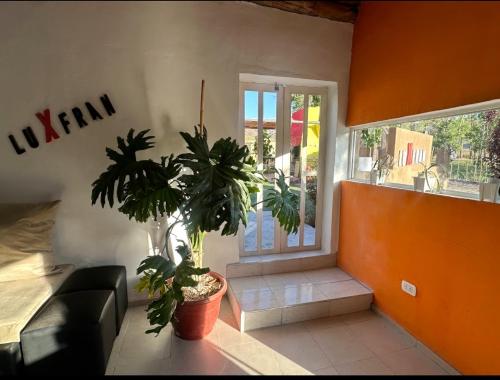 a living room with a couch and potted plants at Hostel Luxfran in Uspallata