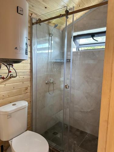 a bathroom with a toilet and a glass shower at Барнхаус in Cholpon-Ata