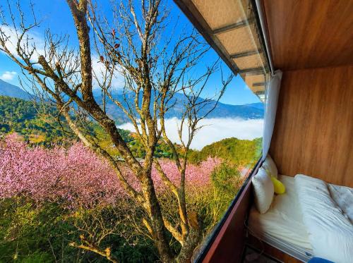a view of a tree from the inside of a tent at Homestay 26 Cơ Sở 2 Tà Xùa in Bắc Yên
