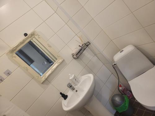 a bathroom with a toilet and a sink and a mirror at Elva Stuudiomajutus in Elva