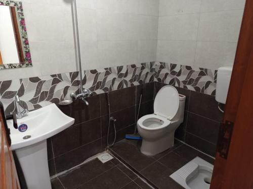 a bathroom with a toilet and a sink at Nursery Lodge Guest House in Karachi