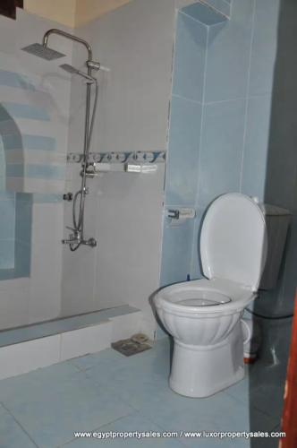 a bathroom with a toilet and a shower at Healing House in Luxor