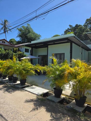 a row of plants in front of a house at Tiffany Villa 2 in Ko Phangan