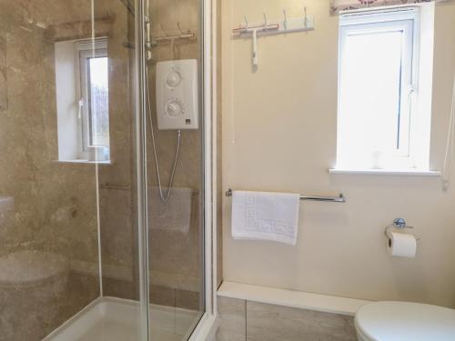 a bathroom with a shower with a glass door at 14 The Dell in Norwich