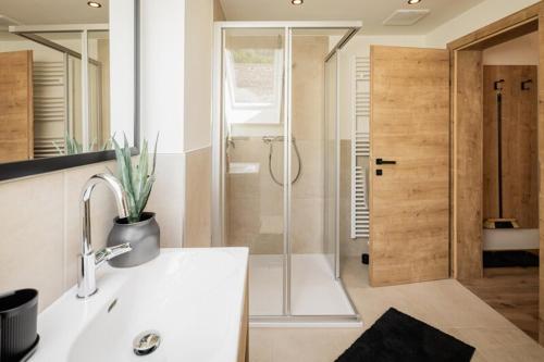 a bathroom with a shower and a sink and a shower at Grillhofer - Slow Living Apartments -LUNGAUCard inkludiert in Mauterndorf