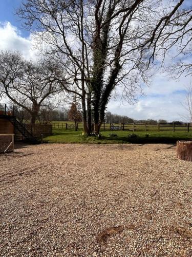 a large field with a large tree in the background at Badgers Bolt in Avington