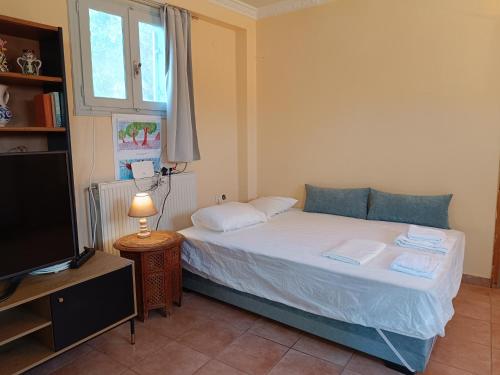 a small bedroom with a bed and a television at Seaside olive grove in Pyrgi Thermis