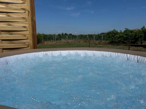 a large pool of water sitting on a patio at L’Orée des Vignes in Saint-Sulpice-de-Faleyrens