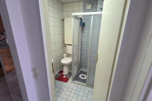 a small bathroom with a toilet and a shower at NEU! Ferienwohnung am Schanzenbach in Hartha