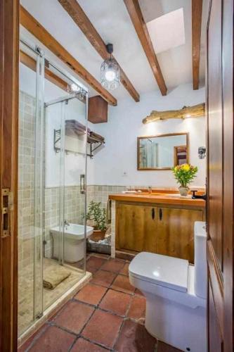 a bathroom with a toilet and a shower and a sink at Casa Oronado in Ingenio