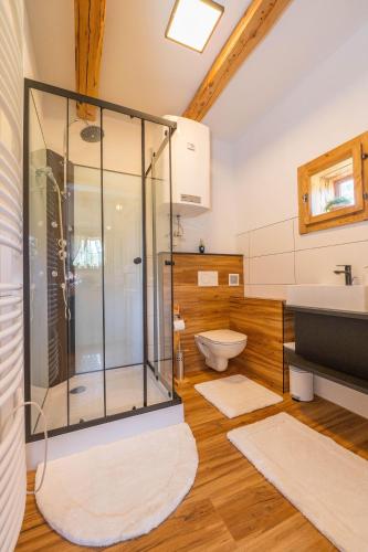 a bathroom with a glass shower and a toilet at Haus Sunnseit'n in Pöllauberg